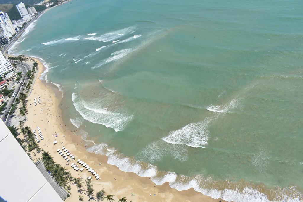 Wonderland 24H Apartments