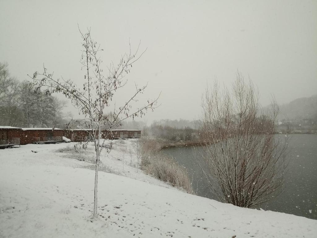 Domki przy plaży photo 1