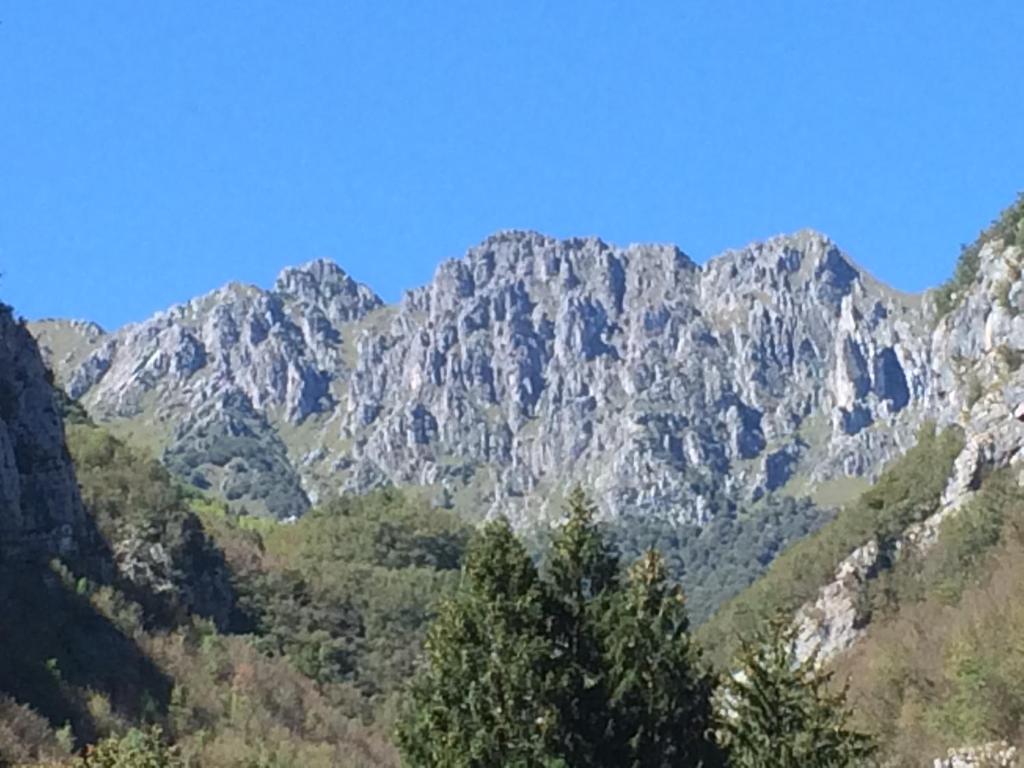 parina Inn – Locanda photo 1