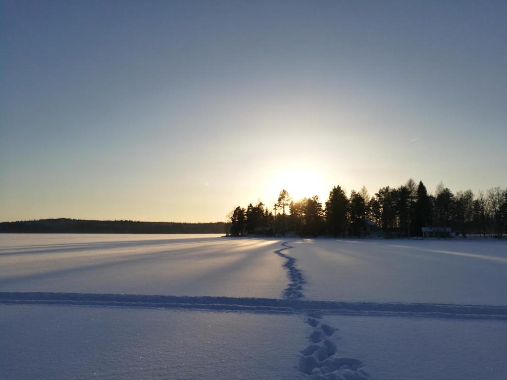Halkolanniemi photo 4