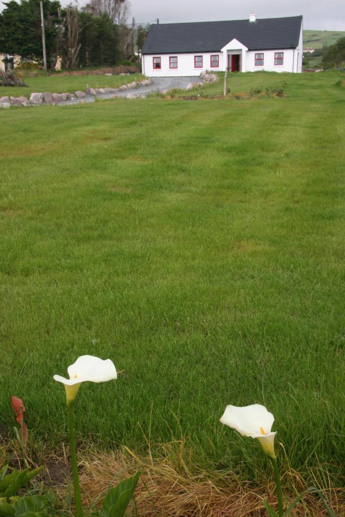 Rose cottage photo 2