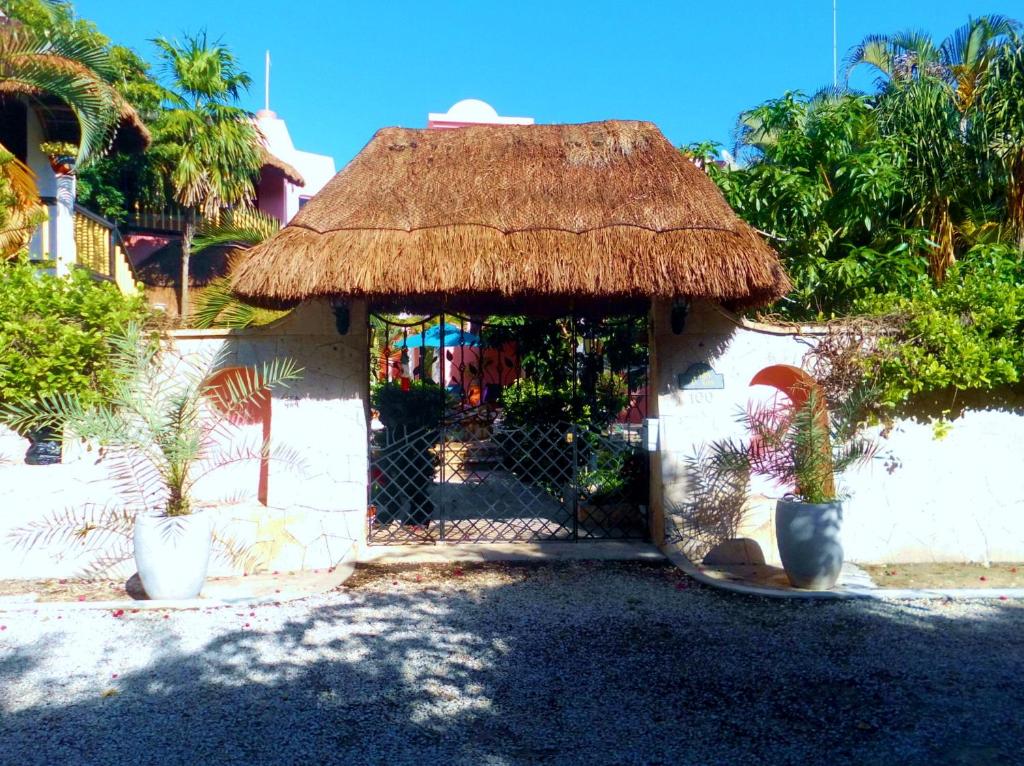 Casa Gatos photo 2