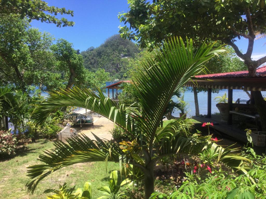 Raiatea sur Mer photo 4
