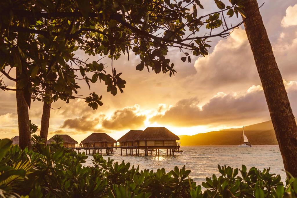Le Taha'a by Pearl Resorts photo 4