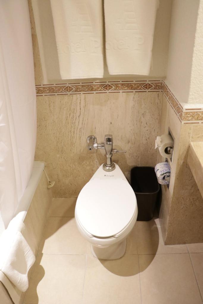 Двухместный (Стандартный номер с кроватью размера «king-size»), Hotel PF