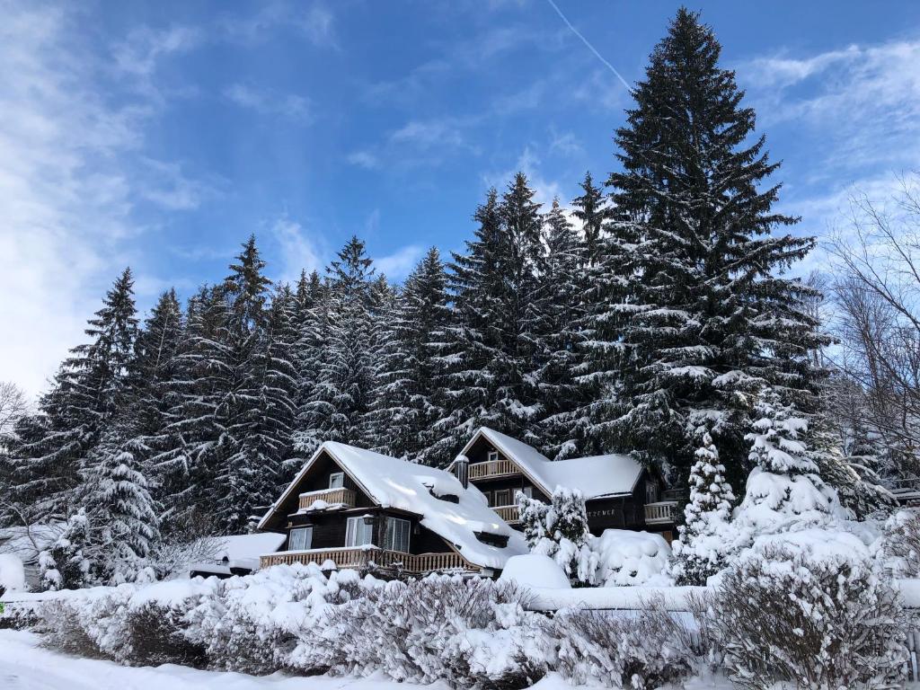Chata Jezevec photo 3