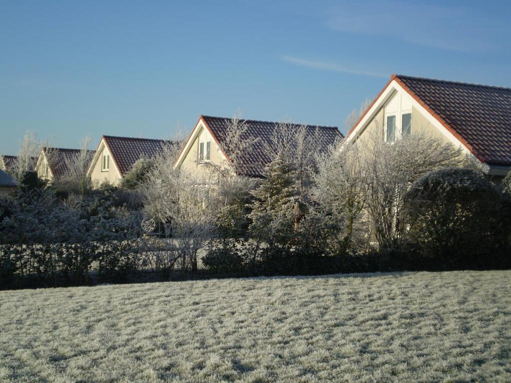 Noordwijk Holiday Rentals photo 4