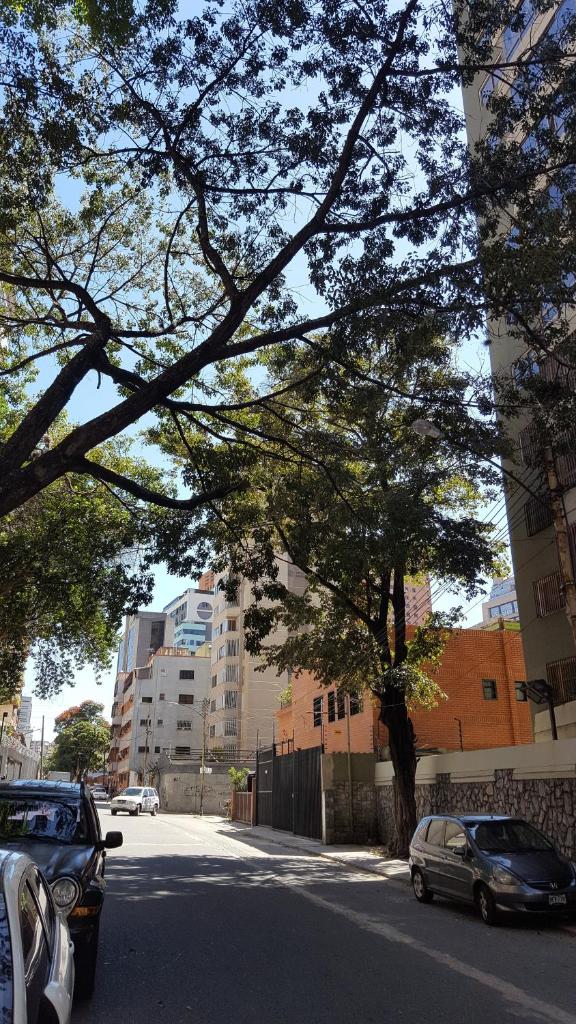 apartosuite Sabana Grande photo 2