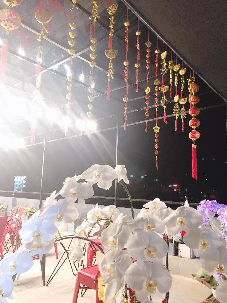 Alley Quy Nhon Homestay