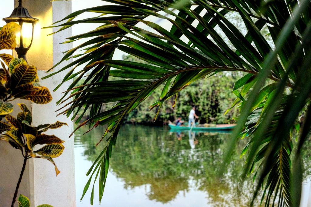 Kampot Cabana photo 2