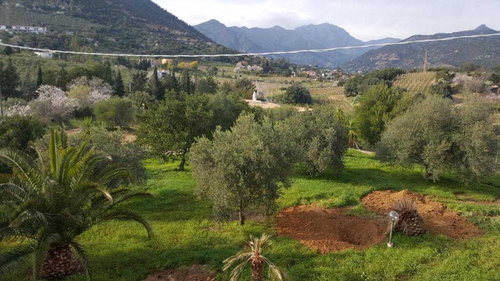 Villa Carmen photo 3
