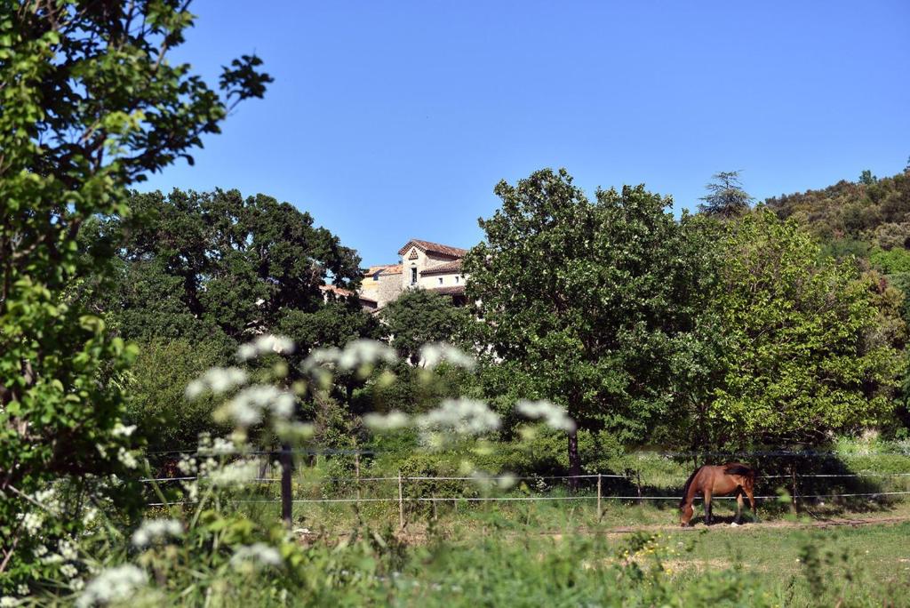B&B Champdelaplume photo 3