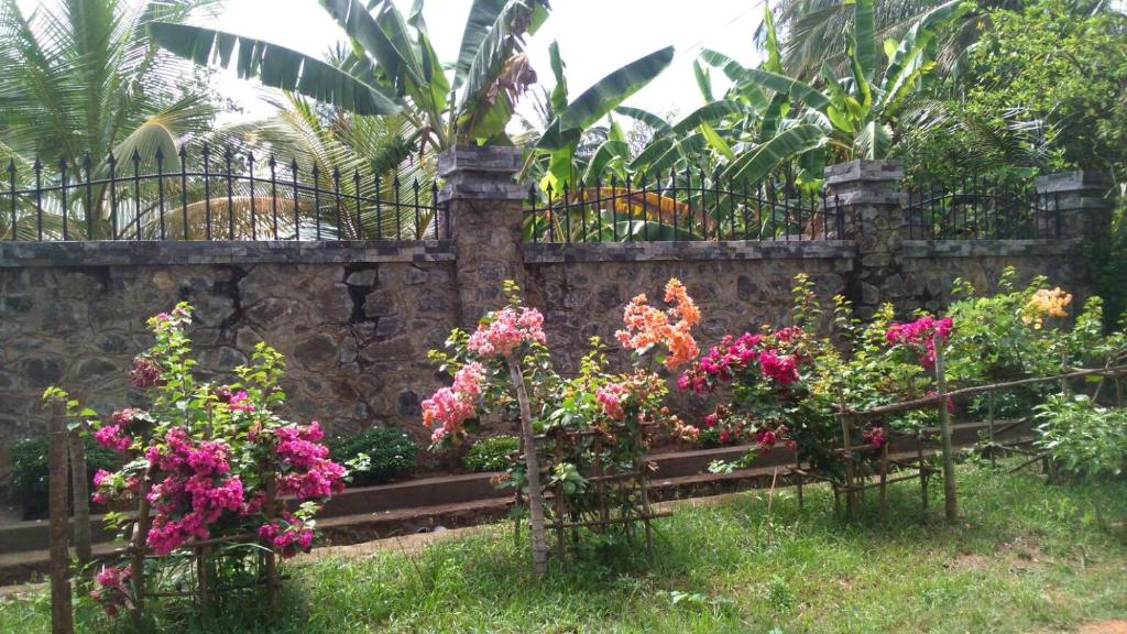 Pearl Crown Homestay photo 3