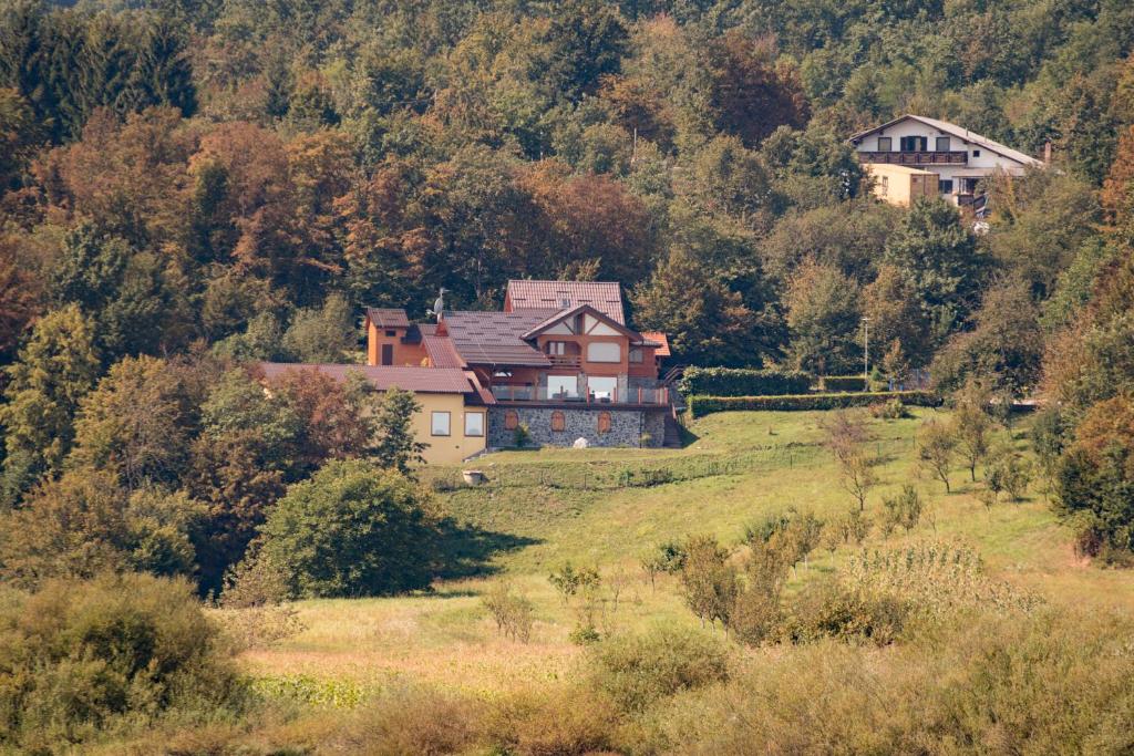 Villa Jelenic by Bertovic photo 1