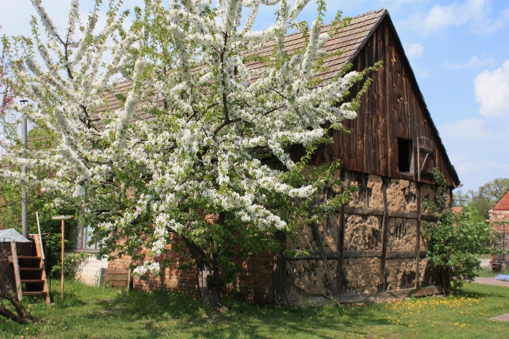 Ferienhof Löschebrand photo 3