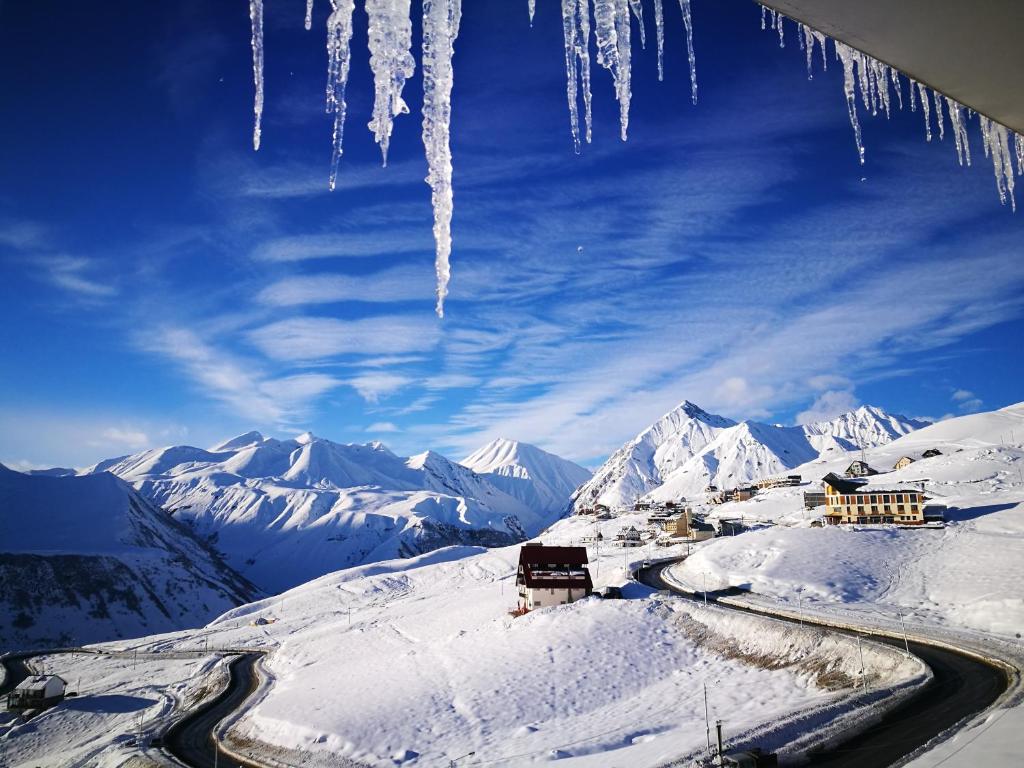 Panorama Vista Gudauri Apartments photo 4