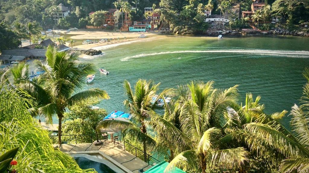 Beach Frontage Villa For Rent photo 3