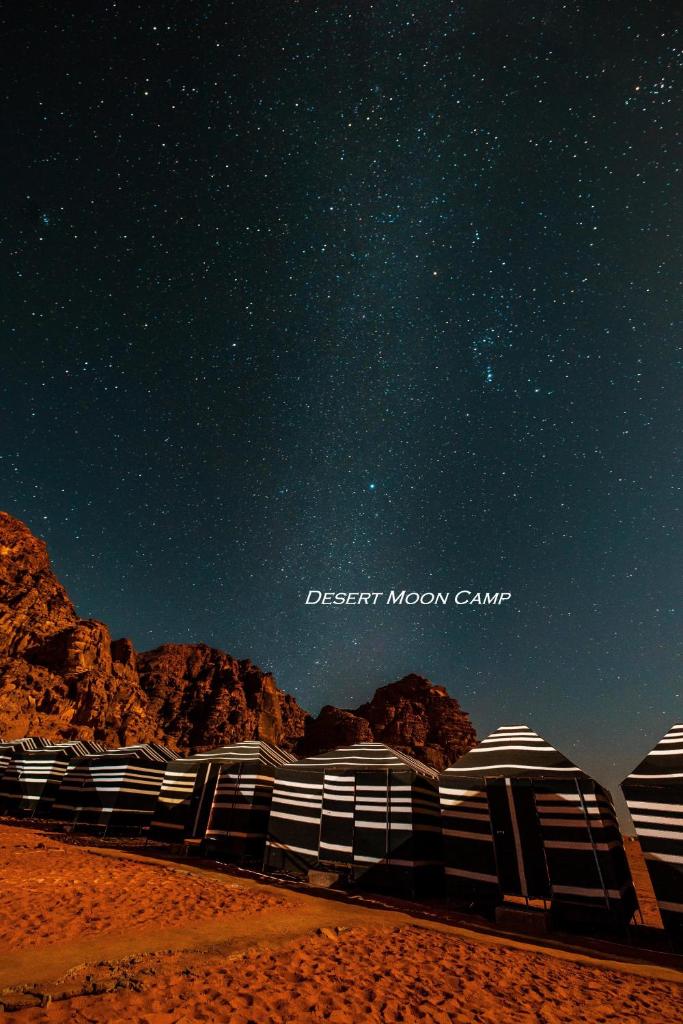 Desert Moon Camp photo 4