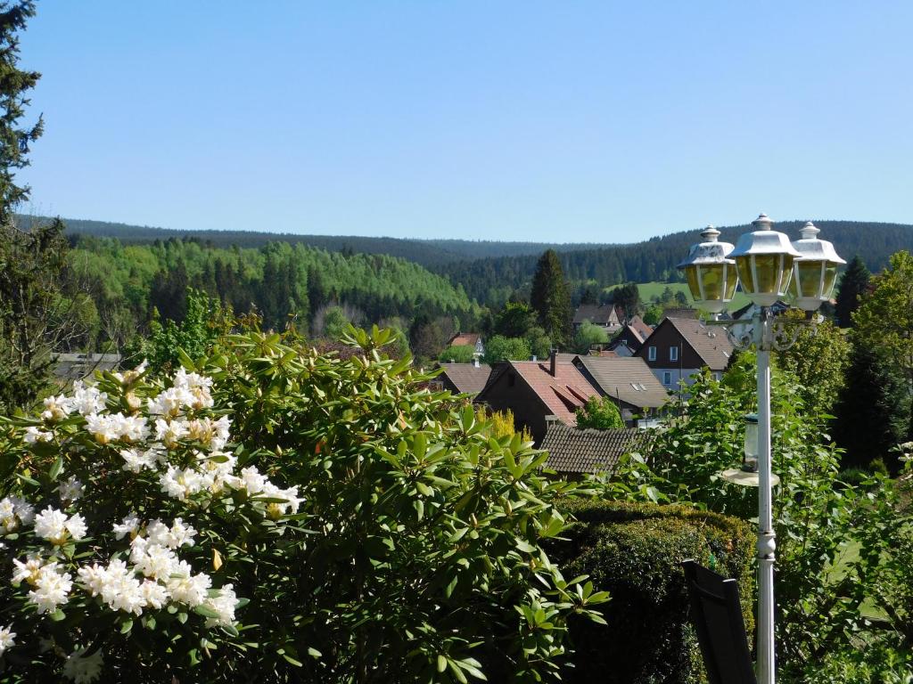 Pension Haus Petra photo 4