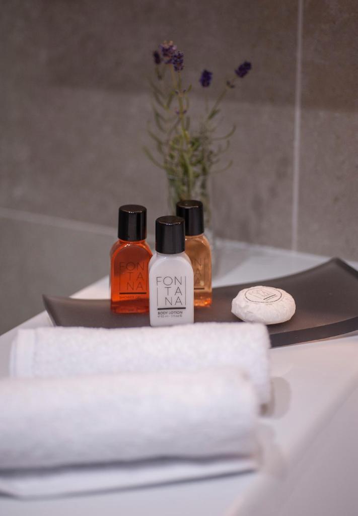 Двухместный (Двухместный номер Делюкс с 1 кроватью и видом на город), Fontana Hotel & Gastronomy