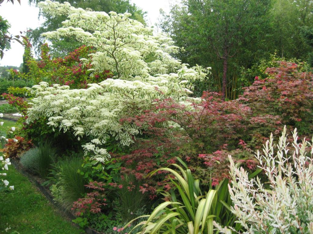 Gites du ROHERAN photo 4