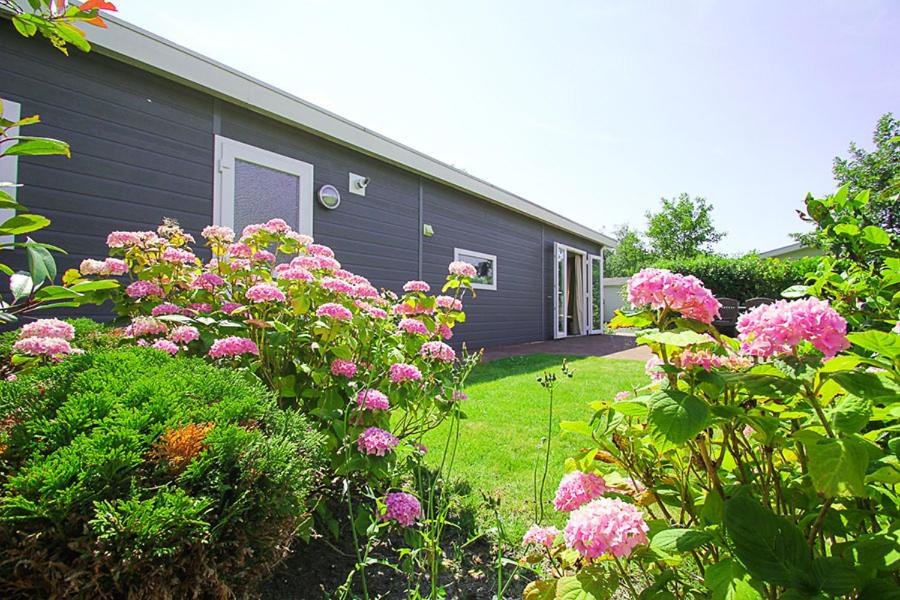Holiday rentals photo 2
