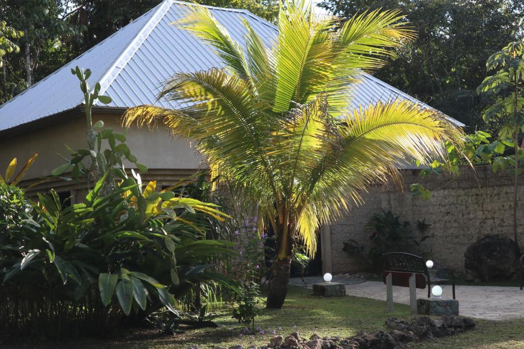 Calico Jack's Resort photo 4