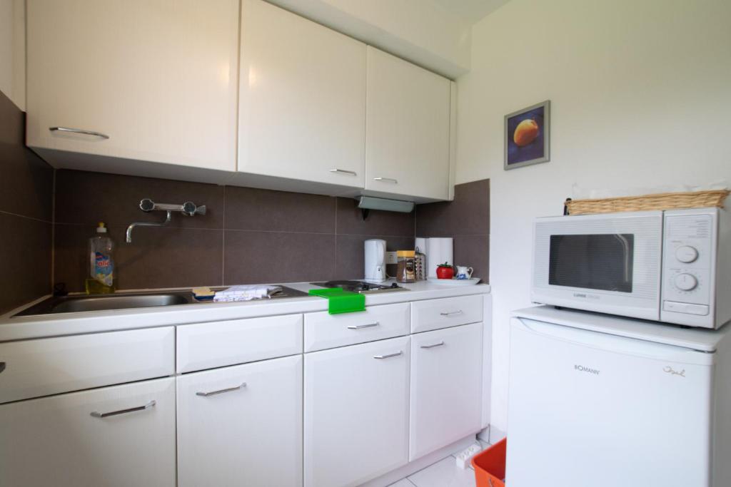Big 1 Room Apartment - 15 Min Messe DUS photo 3