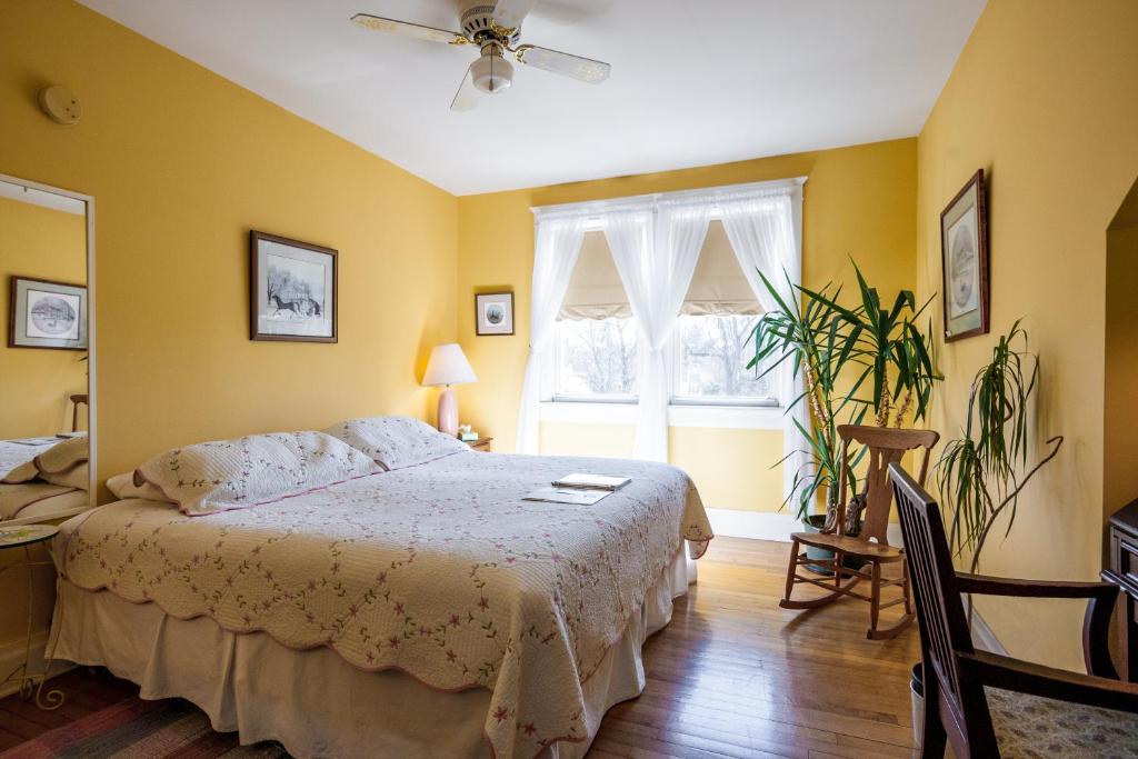 Friendly City Inn B&B photo 4