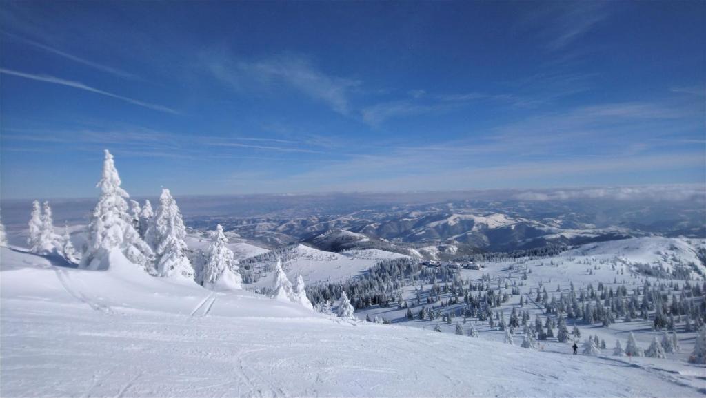 Kopaonik Family House "Brzeće" photo 2
