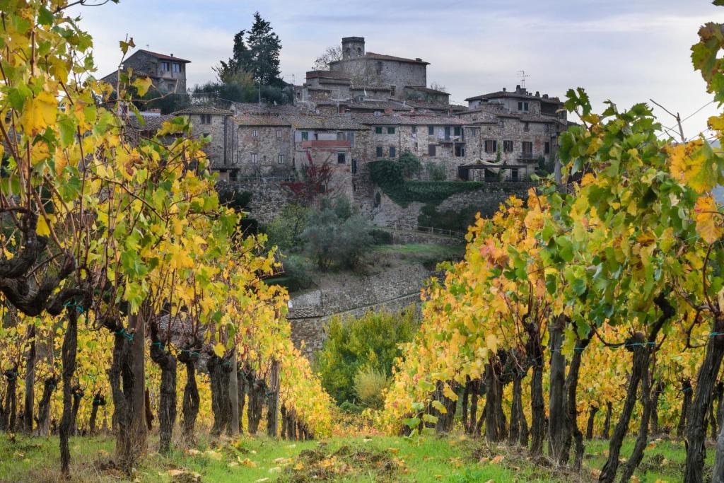 Torre nel Chianti photo 2