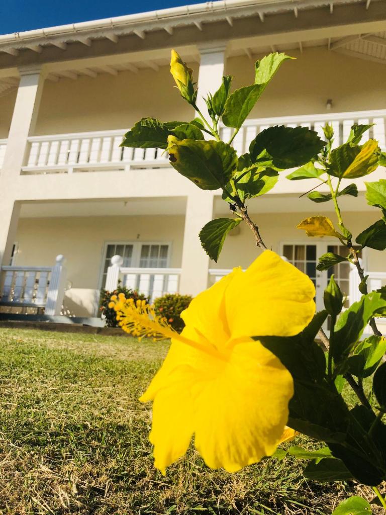 Rosewood Apartment Hotel photo 3