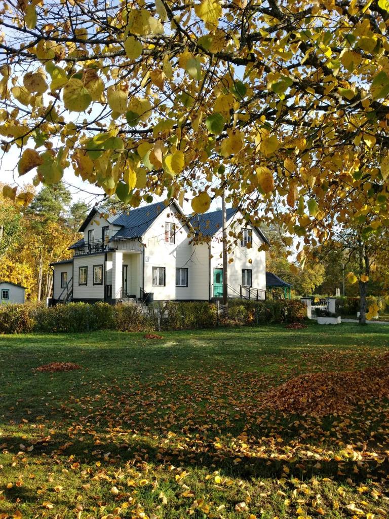 Gotland of Sweden - bed & breakfast photo 3