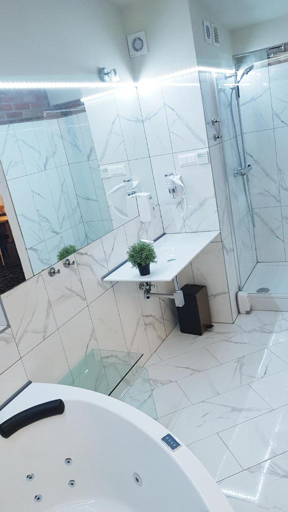 Апартаменты (Улучшенные апартаменты с камином и гидромассажной ванной), Best Hotel Agit Congress&Spa