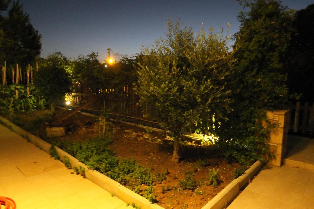 Orizontes View Hotel photo 2