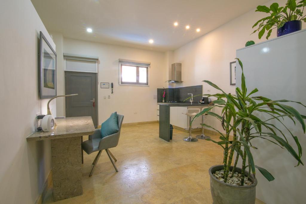 El Cactus Luxury Apartments in Historic Center photo 4