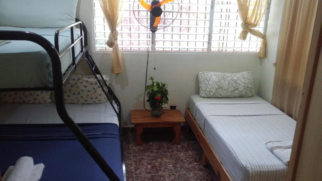 Las Galeras Island Hostel photo 3