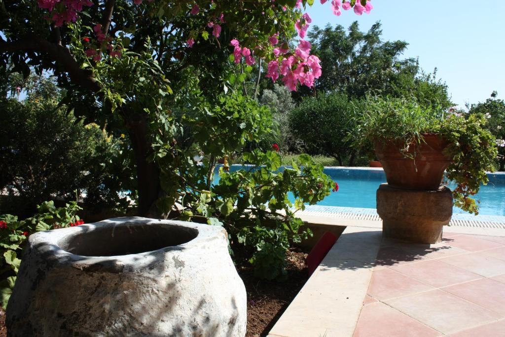 Villa Mandarin by Important Group Travel photo 1
