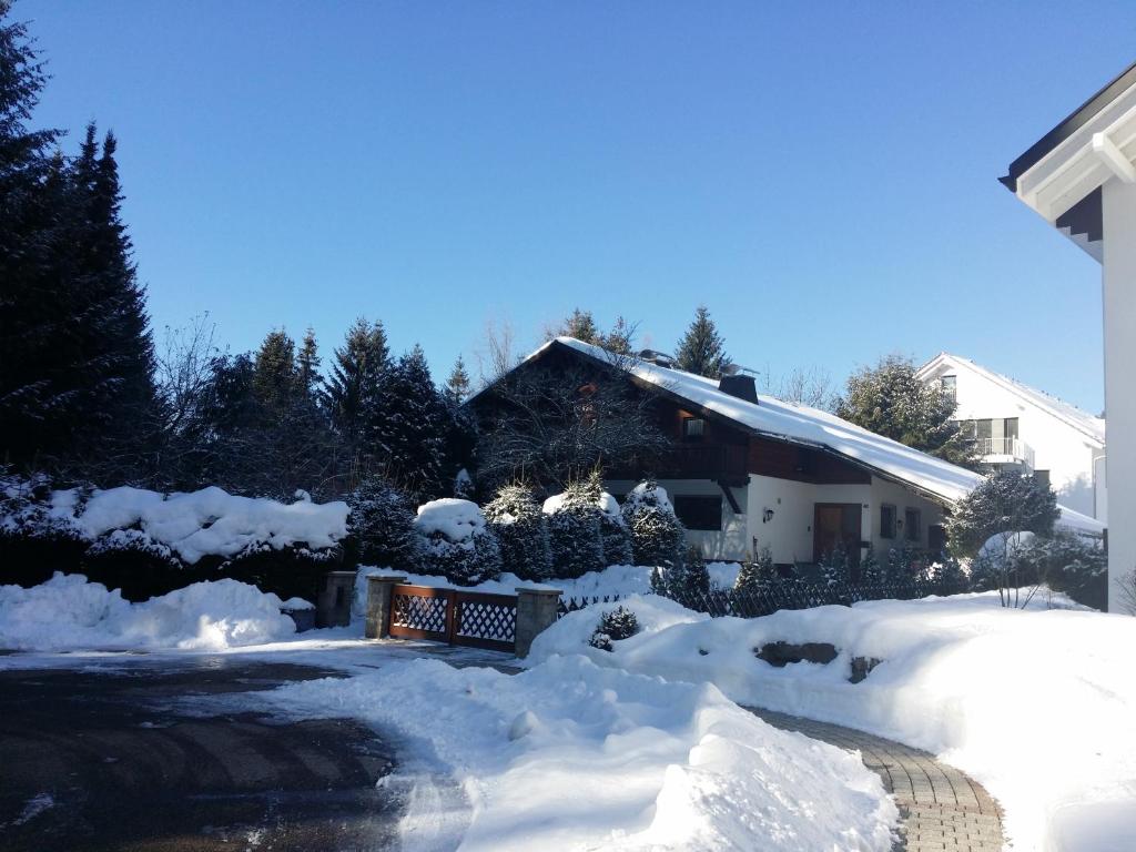Schwarzwald - Villa Appartments Titisee photo 2