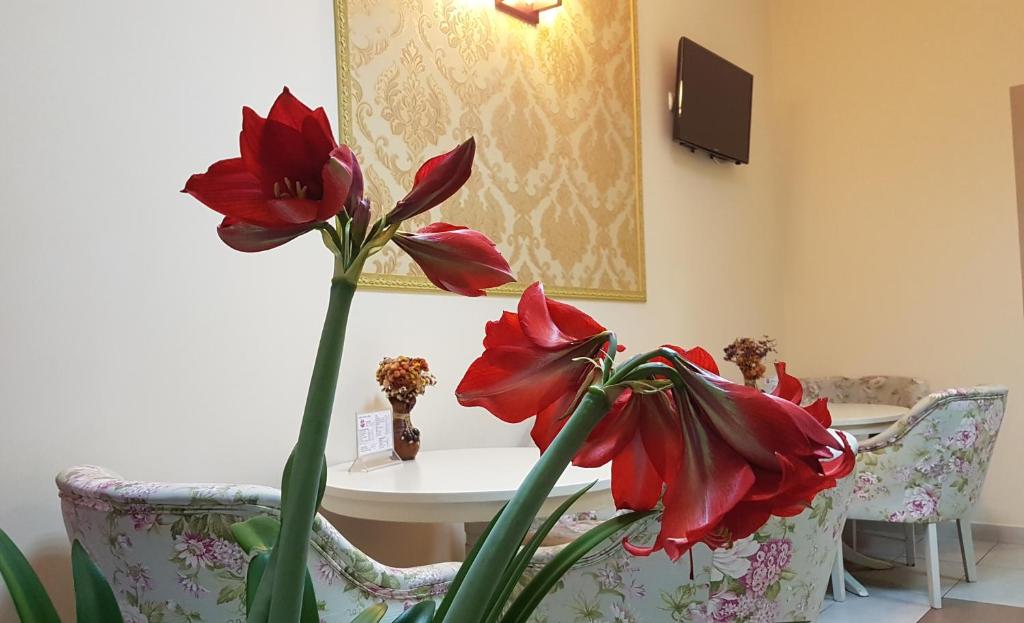 Hotel New photo 4