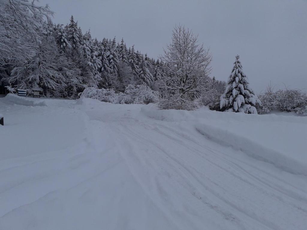 Fewo mit Fichtelberg und Keilbergblick photo 3