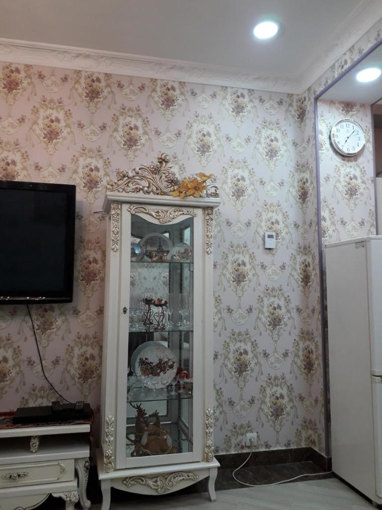 2 Room Deluxe Apartment in Bakuriani photo 4