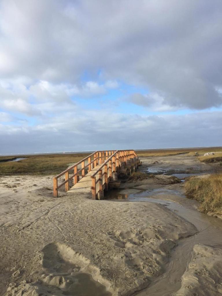 Nordsee-Traum unter Reet photo 4