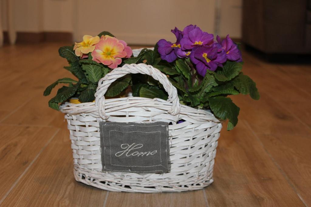 "Home away from home" photo 4