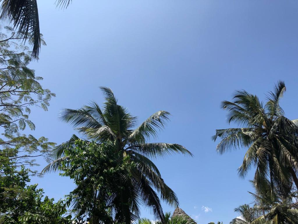 Villa Madinina photo 4