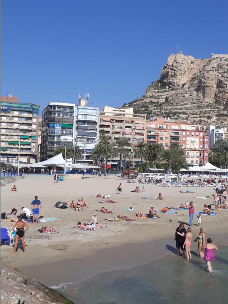 Alicante historic center, beach and marina appartment photo 1