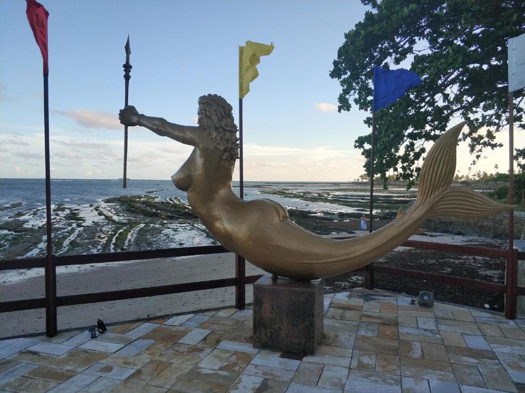 Ilha dos Corais photo 2