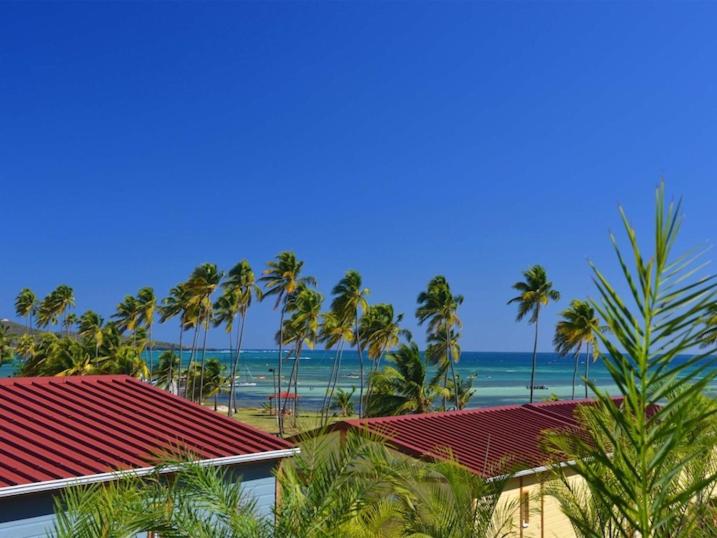 Farniente en Martinique photo 1
