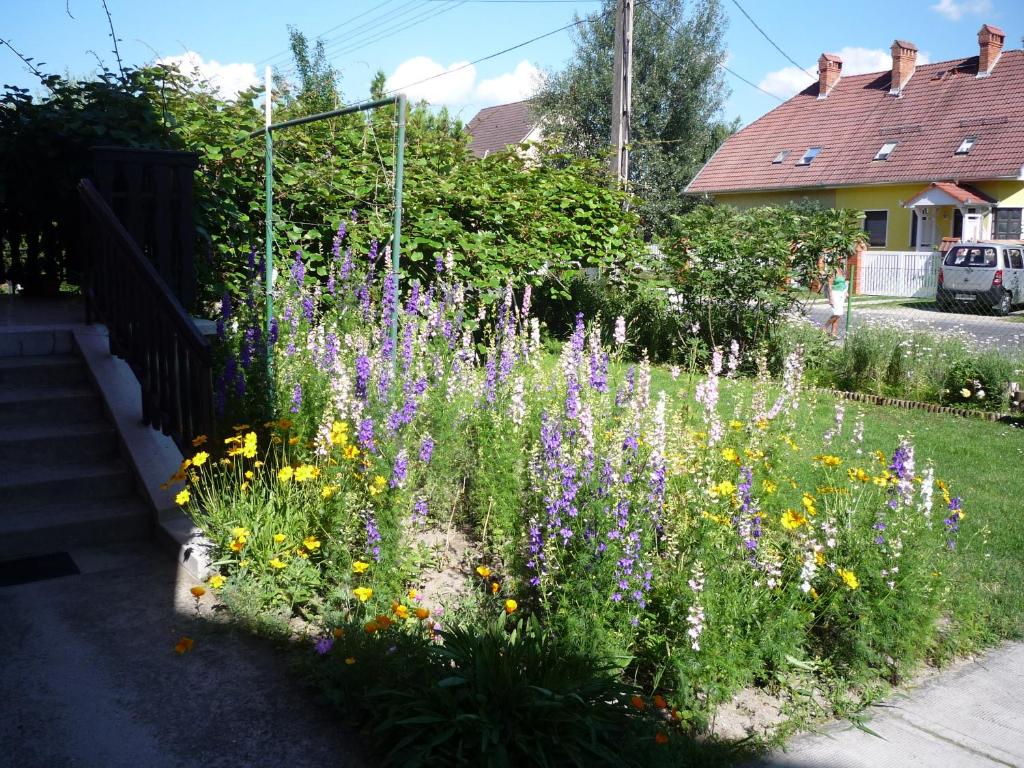 Molnár Vendégház photo 1