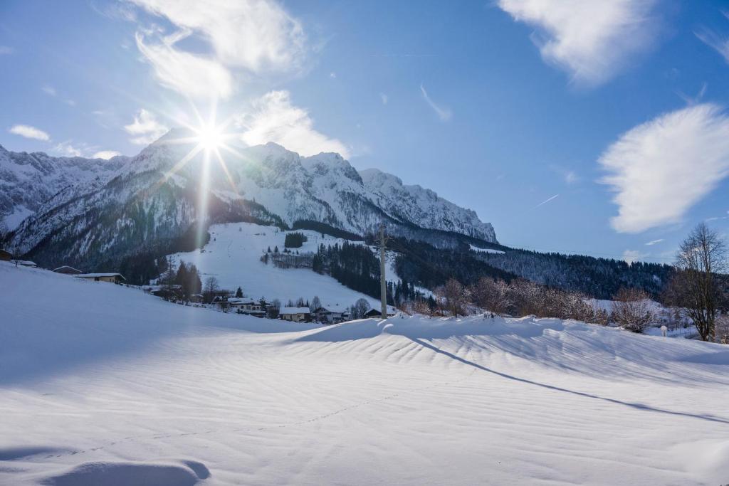 Living 5 Walchsee photo 3